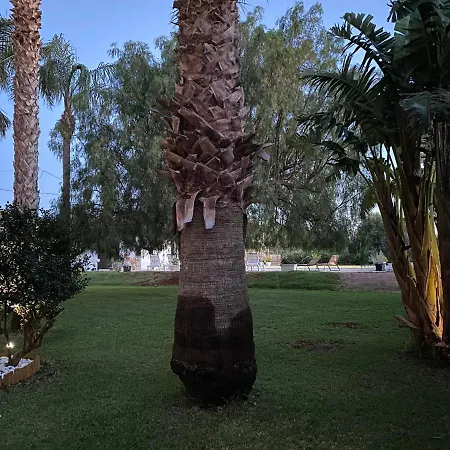 Piruzzu Cv Torre Mulinazzo App P Homestay *
